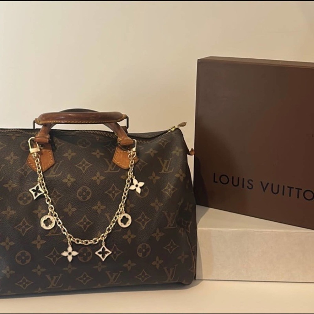Louis Vuitton Speedy Bag